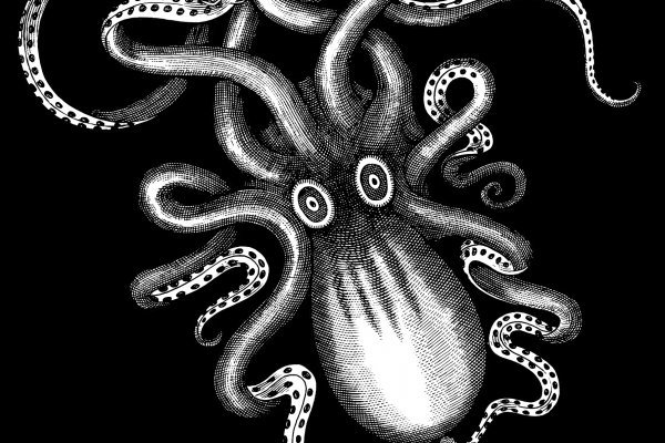 Что такое kraken в россии