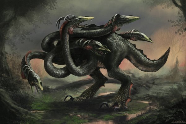 Kraken url